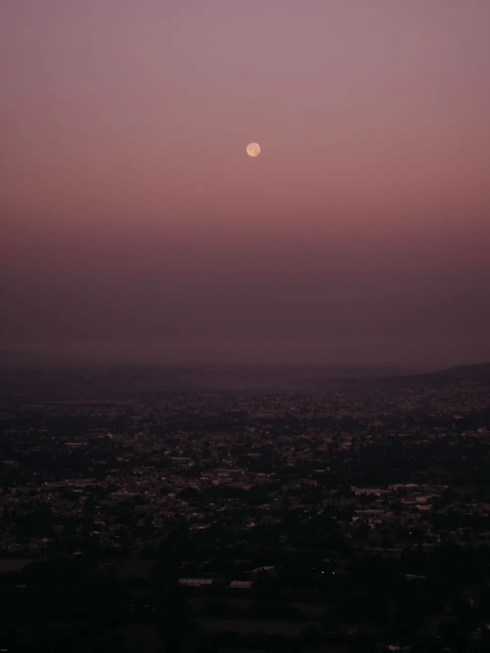 A hot air balloon over the Teotihuacan valley in soft pink dawn light